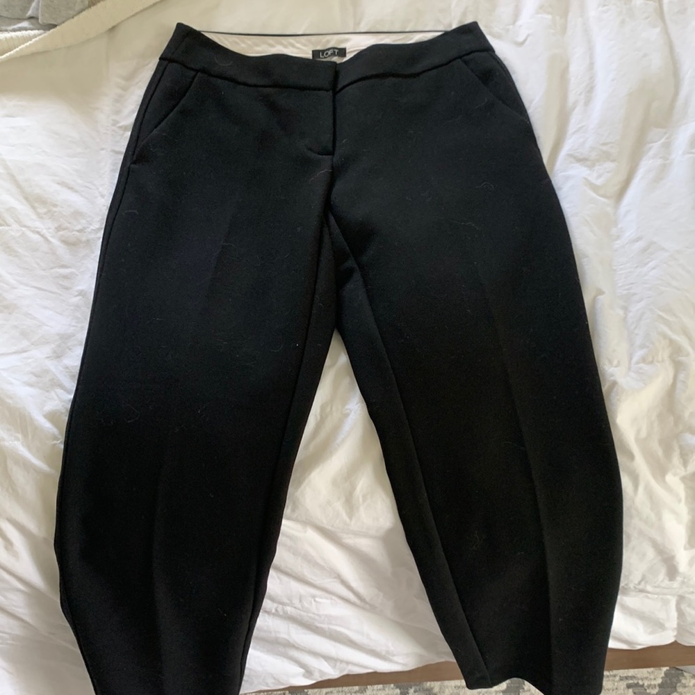 Loft professional pant